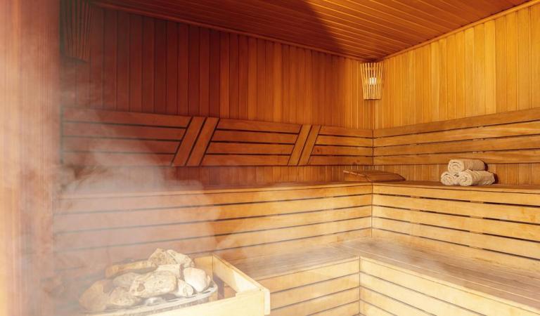 Vente de sauna, comment choisir le modèle idéal pour votre maison ?